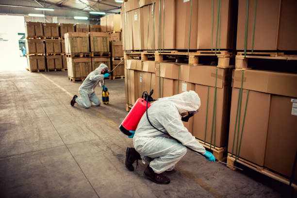Best Pest Control Near Me  in Glassport, PA