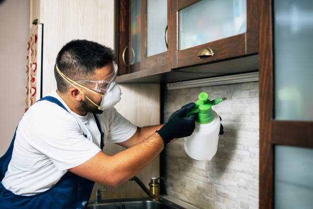 Best Local Pest Control Services  in Glassport, PA