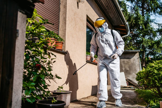 Best Pest Removal Services  in Glassport, PA