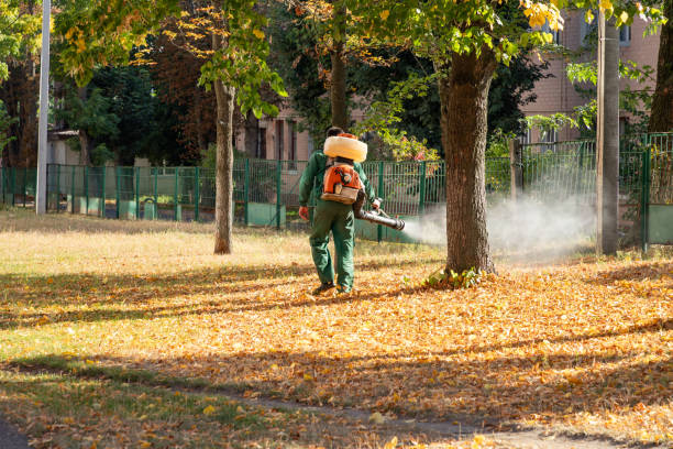 Best Cockroach Control Services  in Glassport, PA