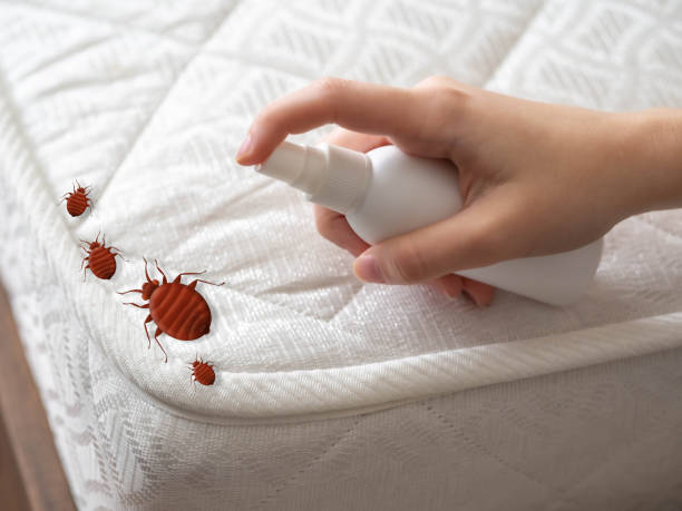 Trusted Glassport, PA Pest Control Experts