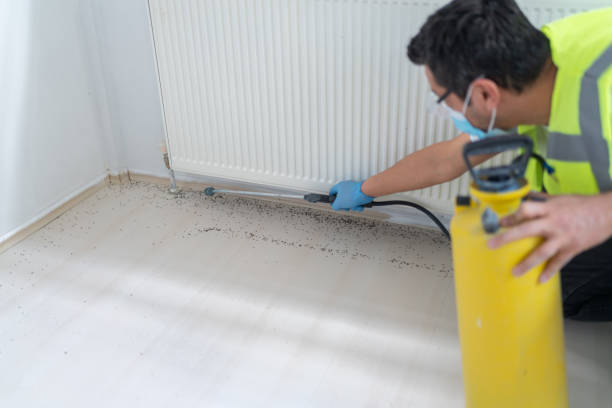 Best Best Pest Control Companies  in Glassport, PA