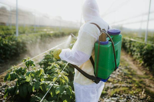 Best Affordable Pest Control Services  in Glassport, PA